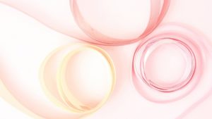 php laravel db接続